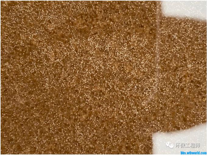 1664498325130585.jpg 1.jpg