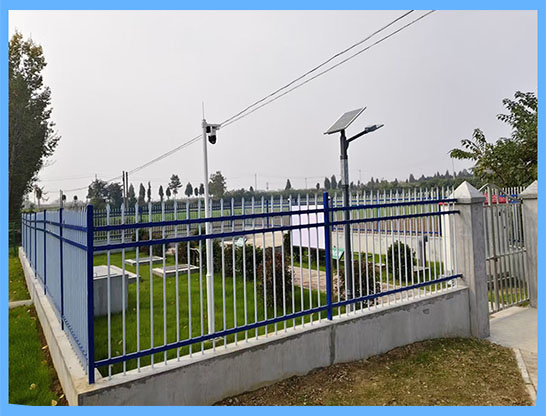 1768460777741408.jpg 11.jpg